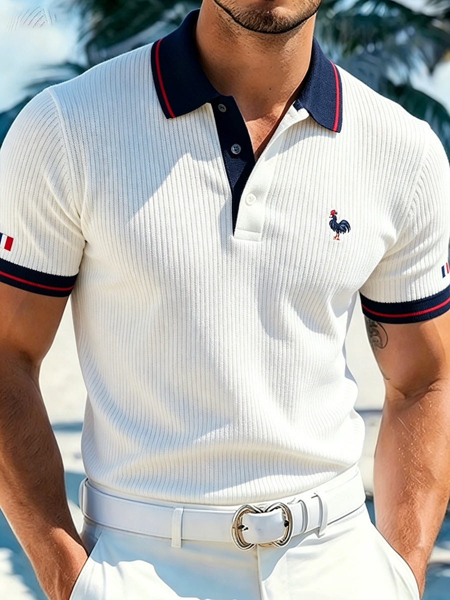 Polo tricoté de style professionnel pour homme avec détails brodés