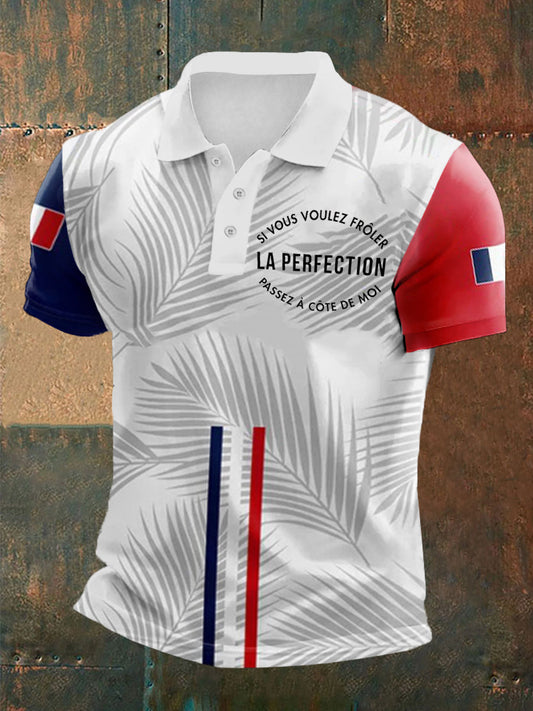 Polo La perfection Homme comme image / S